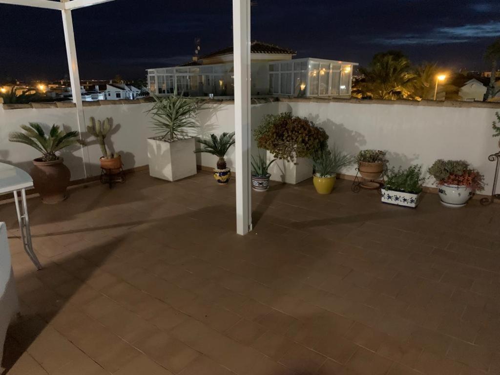 Villa Susana Torrevieja Exterior foto